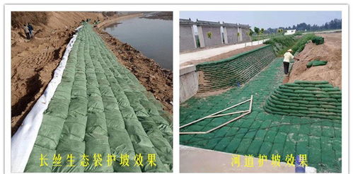 攜手綠色未來 廣西柳州丙綸生態(tài)袋生產(chǎn)廠家引領(lǐng)新型環(huán)保建材新風(fēng)尚